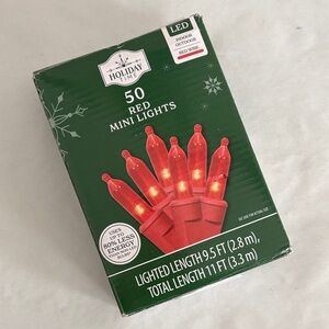 Holiday Time Festive Red LED Lights 50 count indoor outdoor 9 1/2 feet long New